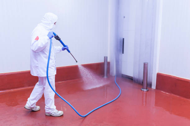 Trusted Town Line, NY Pressure Washing Experts
